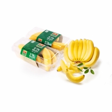 [돌(Dole)] 유기농 바나나 1팩(3~4송이, 550g 이내)